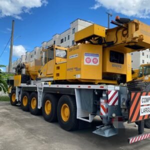 GUINDASTE GROVE 220 TON À VENDA